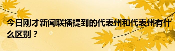 今日刚才新闻联播提到的代表州和代表州有什么区别？