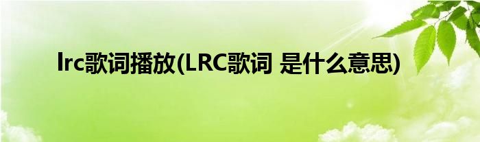 lrc歌词播放(LRC歌词 是什么意思)