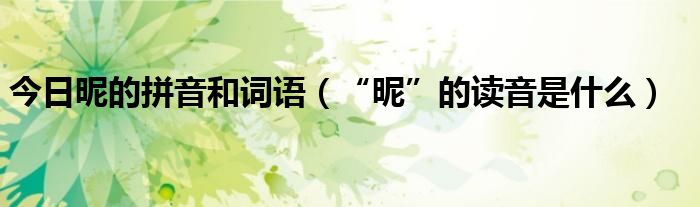 今日昵的拼音和词语（“昵”的读音是什么）