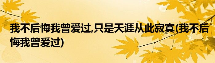 我不后悔我曾爱过,只是天涯从此寂寞(我不后悔我曾爱过)