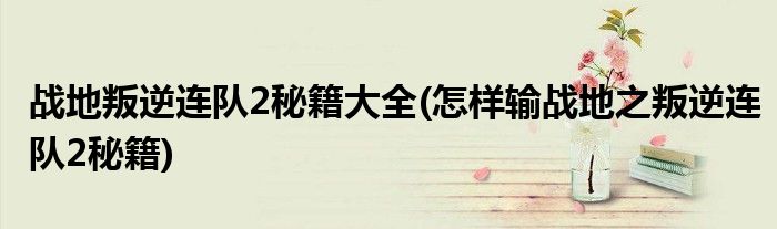 战地叛逆连队2秘籍大全(怎样输战地之叛逆连队2秘籍)
