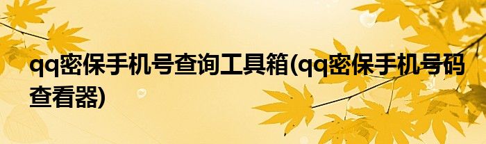 qq密保手机号查询工具箱(qq密保手机号码查看器)