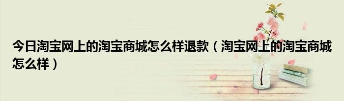今日淘宝网上的淘宝商城怎么样退款（淘宝网上的淘宝商城怎么样）