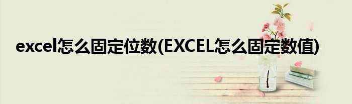 excel怎么固定位数(EXCEL怎么固定数值)