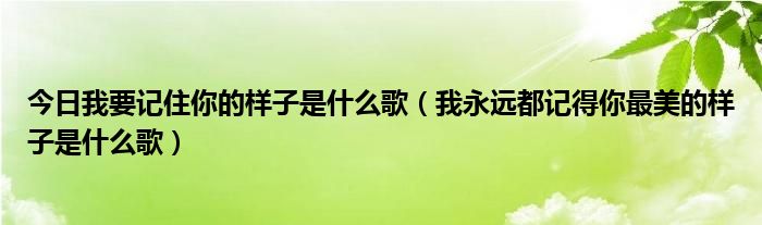 今日我要记住你的样子是什么歌（我永远都记得你最美的样子是什么歌）