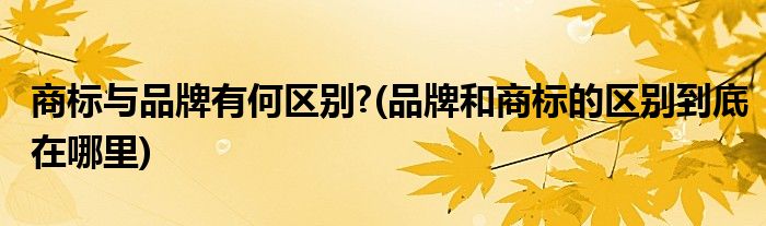 商标与品牌有何区别?(品牌和商标的区别到底在哪里)