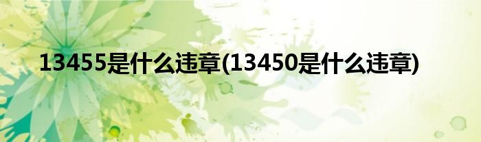 13455是什么违章(13450是什么违章)