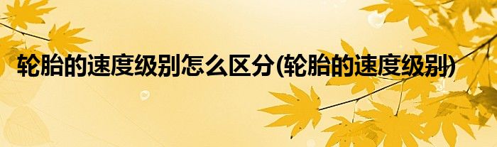 轮胎的速度级别怎么区分(轮胎的速度级别)