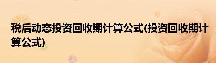 税后动态投资回收期计算公式(投资回收期计算公式)