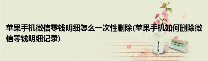 苹果手机微信零钱明细怎么一次性删除(苹果手机如何删除微信零钱明细记录)