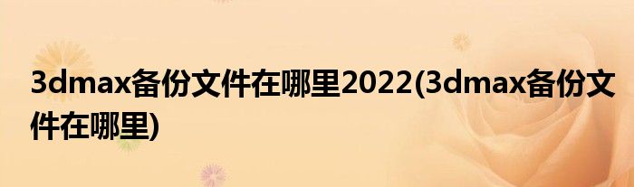 3dmax备份文件在哪里2022(3dmax备份文件在哪里)