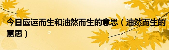 真实的应运而生是什么意思的照片