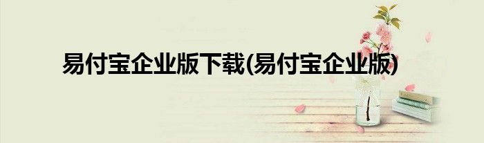 易付宝企业版下载(易付宝企业版)