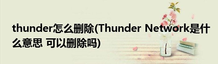 thunder怎么删除(Thunder Network是什么意思 可以删除吗)