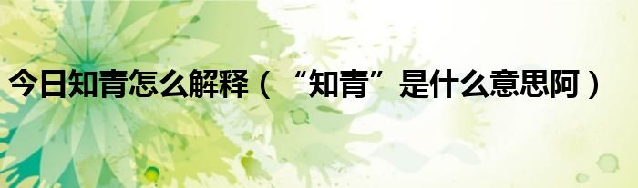 今日知青怎么解释（“知青”是什么意思阿）
