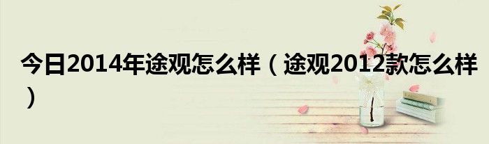 今日2014年途观怎么样（途观2012款怎么样）