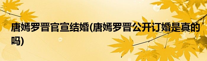 唐嫣罗晋官宣结婚(唐嫣罗晋公开订婚是真的吗)