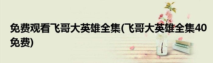 免费观看飞哥大英雄全集(飞哥大英雄全集40免费)