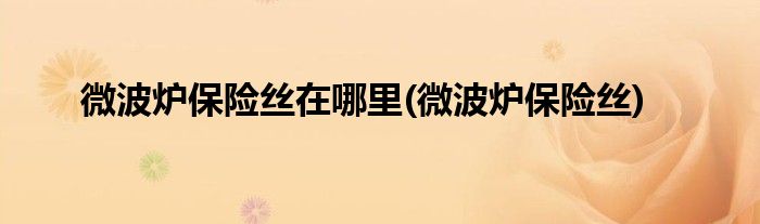 微波炉保险丝在哪里(微波炉保险丝)