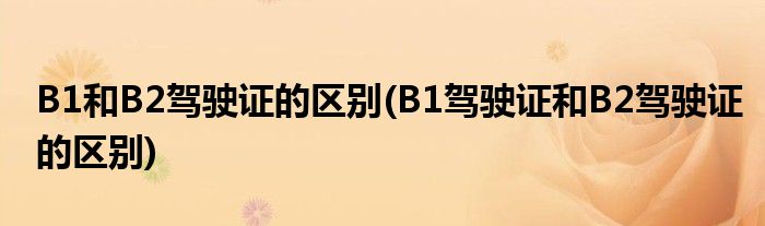 B1和B2驾驶证的区别(B1驾驶证和B2驾驶证的区别)