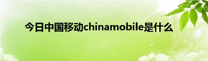 今日中国移动chinamobile是什么