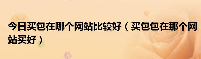 今日买包在哪个网站比较好（买包包在那个网站买好）