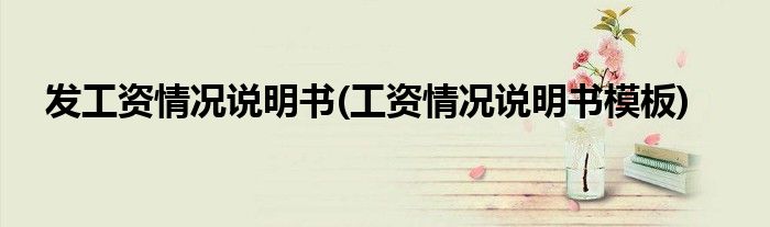 发工资情况说明书(工资情况说明书模板)