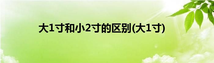 大1寸和小2寸的区别(大1寸)