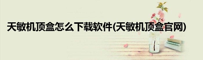 天敏机顶盒怎么下载软件(天敏机顶盒官网)