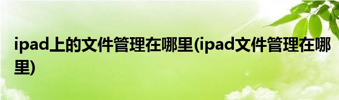 ipad上的文件管理在哪里(ipad文件管理在哪里)
