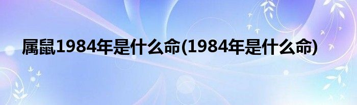 属鼠1984年是什么命(1984年是什么命)