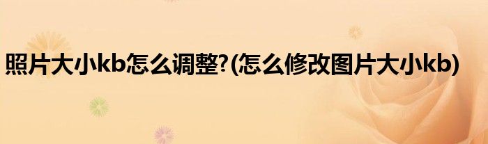 照片大小kb怎么调整?(怎么修改图片大小kb)