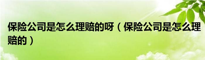 保险公司是怎么理赔的呀（保险公司是怎么理赔的）