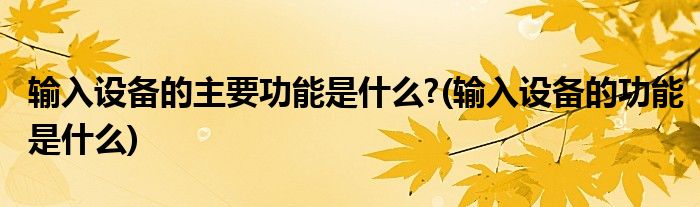 输入设备的主要功能是什么?(输入设备的功能是什么)