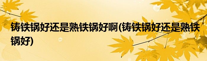 铸铁锅好还是熟铁锅好啊(铸铁锅好还是熟铁锅好)