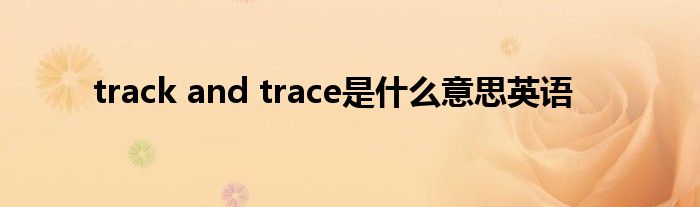 track and trace是什么意思英语