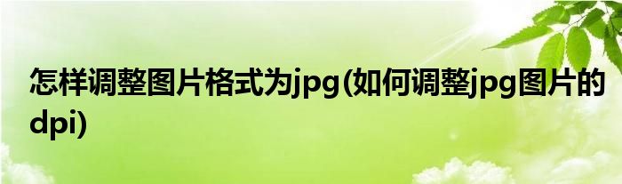 怎样调整图片格式为jpg(如何调整jpg图片的dpi)