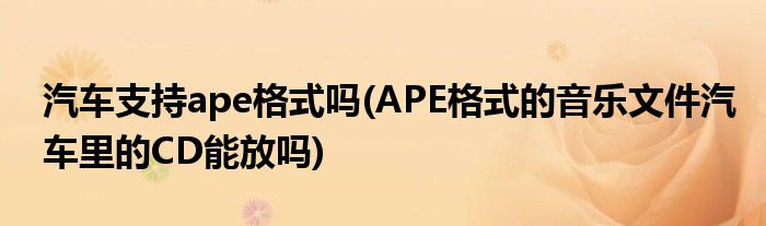 汽车支持ape格式吗(APE格式的音乐文件汽车里的CD能放吗)