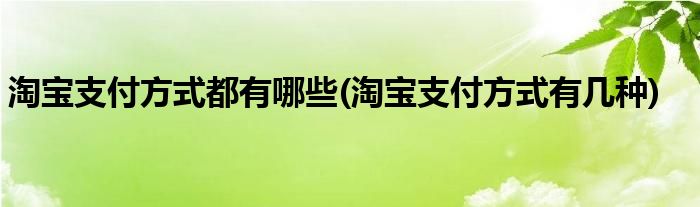 淘宝支付方式都有哪些(淘宝支付方式有几种)