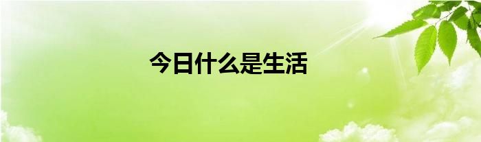 今日什么是生活