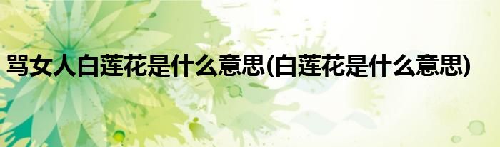 骂女人白莲花是什么意思(白莲花是什么意思)