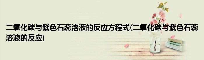 二氧化碳与紫色石蕊溶液的反应方程式(二氧化碳与紫色石蕊溶液的反应)
