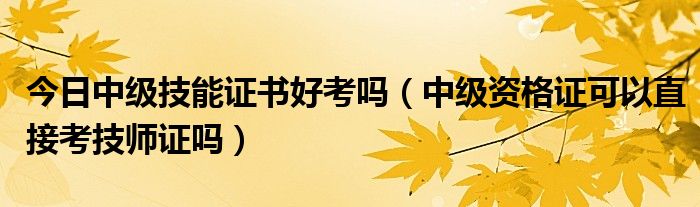 今日中级技能证书好考吗（中级资格证可以直接考技师证吗）