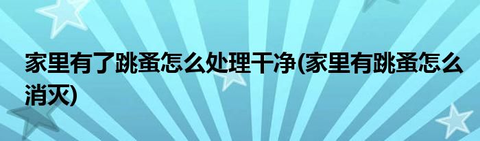 家里有了跳蚤怎么处理干净(家里有跳蚤怎么消灭)