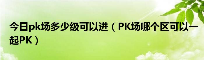 今日pk场多少级可以进（PK场哪个区可以一起PK）