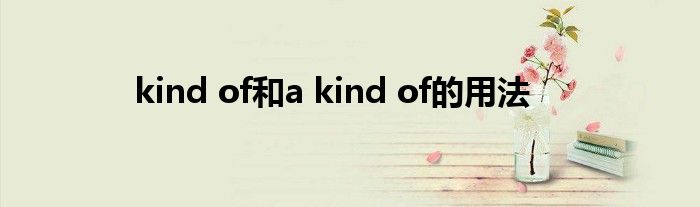 kind of和a kind of的用法