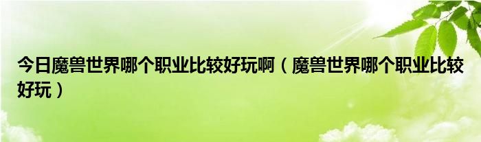 今日魔兽世界哪个职业比较好玩啊（魔兽世界哪个职业比较好玩）