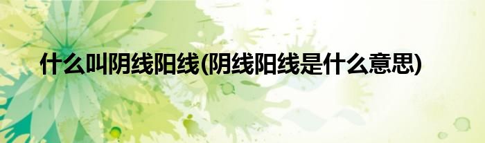 什么叫阴线阳线(阴线阳线是什么意思)