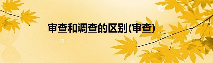 审查和调查的区别(审查)