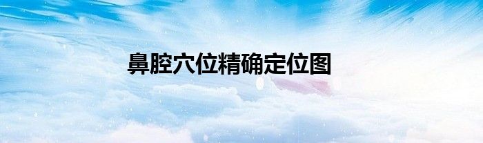 鼻腔穴位精确定位图